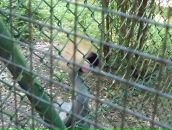 Віка Богатюк фотография #35 (источник - https://vk.com/id77462187)