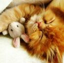 Ігор Чучко фотография #1