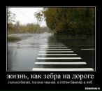 Фотография Густякова Алексея