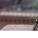 Інна Лепська фотография #36 (источник - https://vk.com/id44707728)