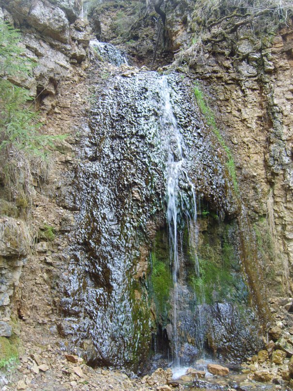 Наталья Баранова фотография #26