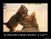 Віка Холодняк фотография #32 (источник - https://vk.com/id151454186)