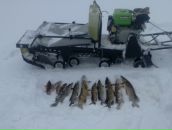 Фотография Лазарева Николая