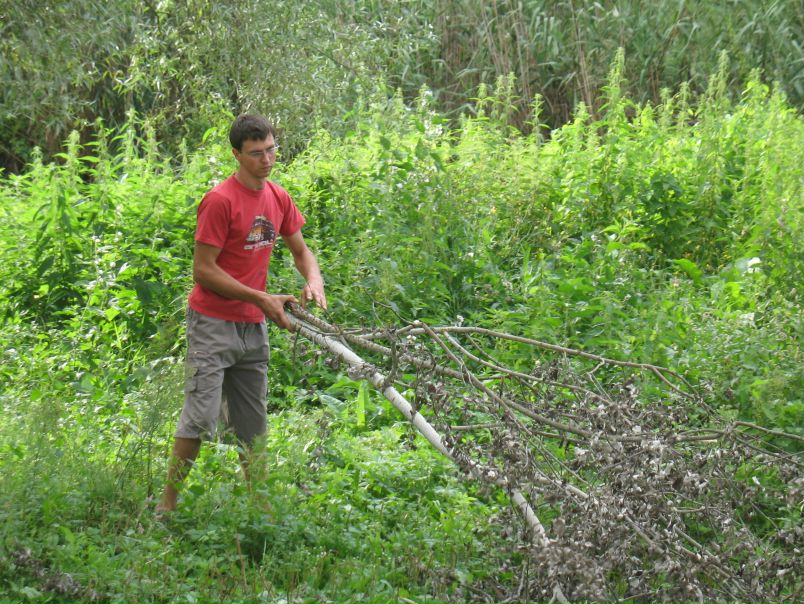 Дмитрий Рянский фото №45