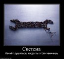 Сергей Поляруш фотография #34 (источник - https://vk.com/id26193678)