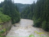 Діма Білик фотография #1