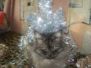 Юлічка Мельничук фотография #3 (источник - https://vk.com/id37916122)
