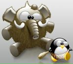 Фотография Комолова Евгения