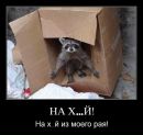 Игорь Труба фотография #18 (источник - https://vk.com/id125765403)