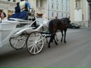 Мілла Бойко фотография #49 (источник - https://vk.com/id99831351)