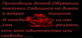 Фотография Бондаренко Анны