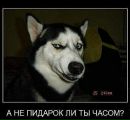 Фотография Калининой Ольги
