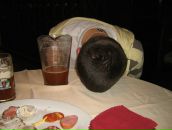 Фотография Славянскиия Андрея