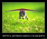 Фотография Белогурова Алексея