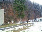 Ольга Пасічник фотография #16 (источник - https://vk.com/id15396420)
