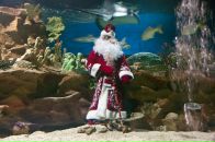 Фотография Ледовского Дмитрия