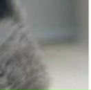 Емілія Мовчан фотография #24 (источник - https://vk.com/id89589512)