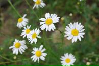 Фотография Карпасовой Наталии