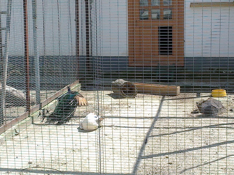 Сергей Бойко фотография #39