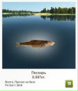 Ігор Кузьма фотография #6 (источник - https://vk.com/id64784705)