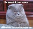 Фотография Устьянцева Александра
