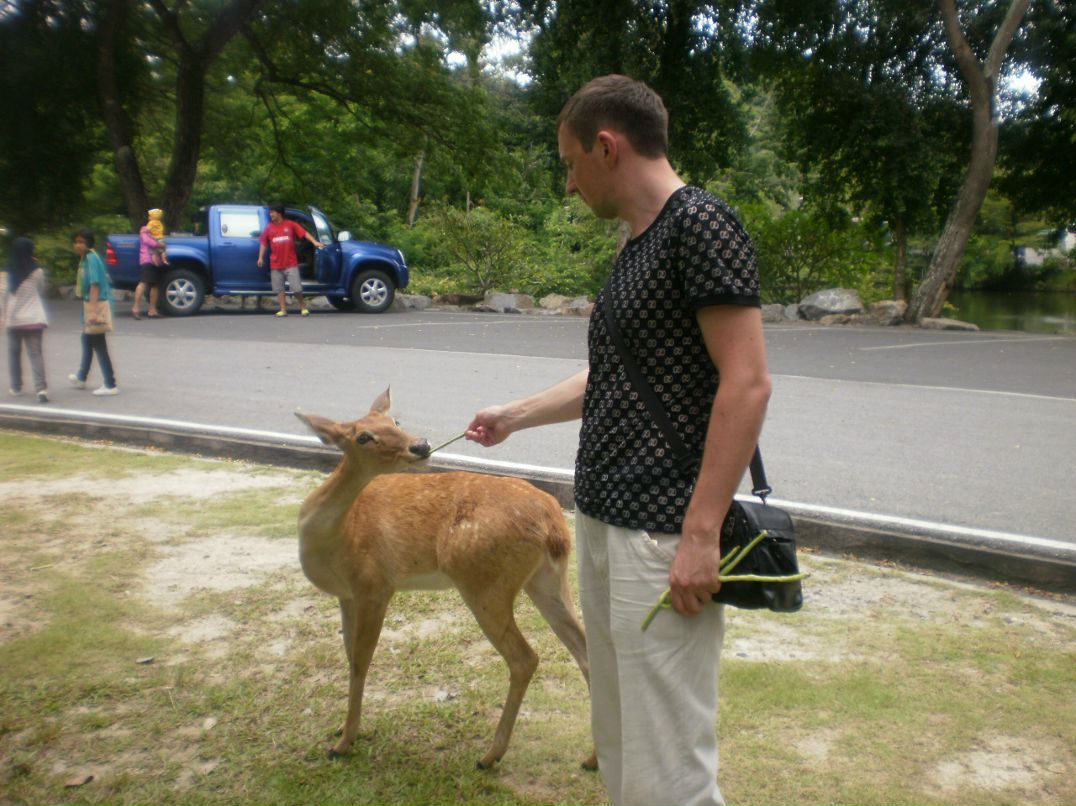 Konstantin Mustafin фотография #41