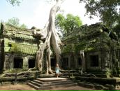 Фотография Фураевой Светланы