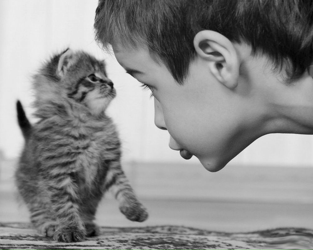 Александр Кононенко фотография #25