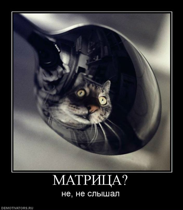 Дмитро Шило фотография #26