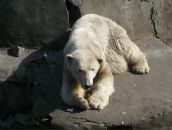 Андрей Денежкин фотография #4 (источник - https://vk.com/id3962368)