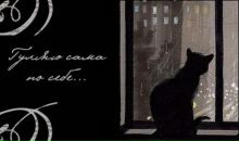 Фотография Яковлевой Марии