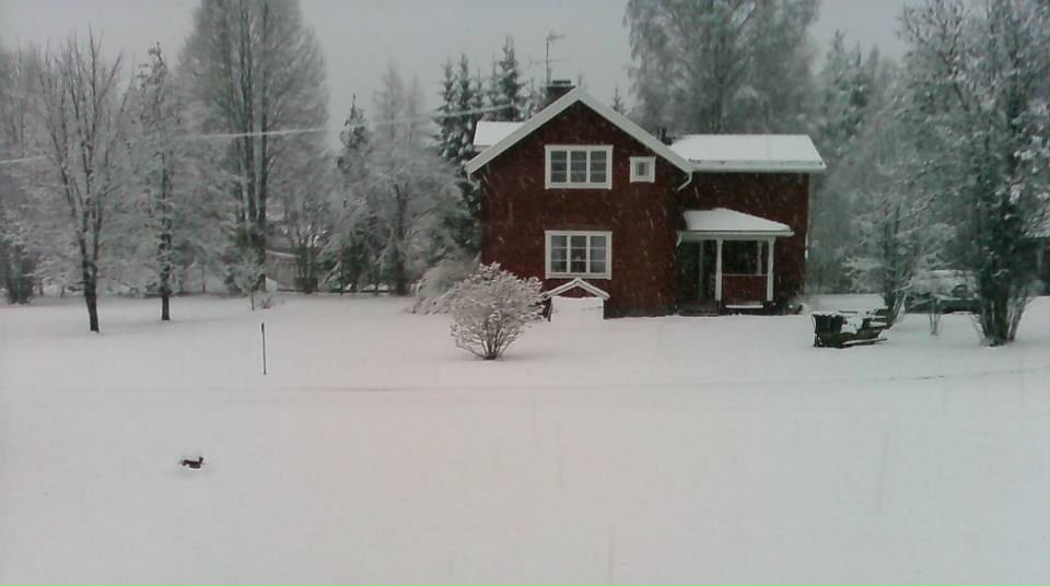 Оля Панченко фотография #22