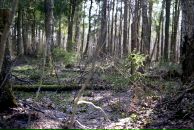 Фотография Марченко Жени