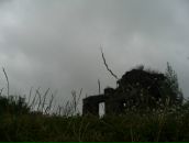 Віталік Кот фотография #14 (источник - https://vk.com/id95295007)