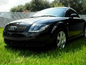 Фотография Ворошилова Елена