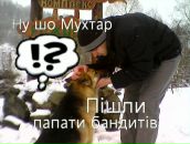 Олексій Дубровський фотография #11 (источник - https://vk.com/id74371538)