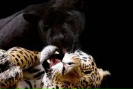 Фотография Ивановой Вероники