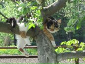 Фотография Дугиной Оксаны