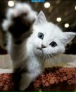 Фотография Потуренко Оли