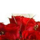 Юля Колісник фотография #11 (источник - https://vk.com/id105181184)