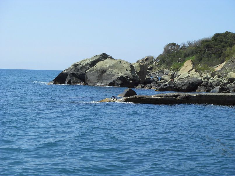 Андрей Бодеристов фотография #44