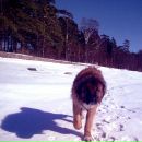 Фотография Алексеева Игоря