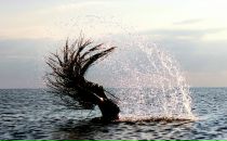 Фотография Кисель Ксении