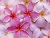 Фотография Осташовой Лидии