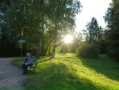 Фотография  