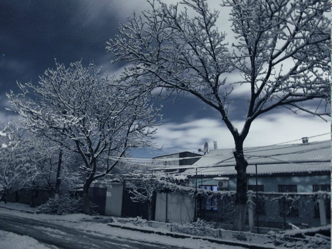 Евгений Савин фотография #37