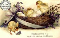 Фотография Кадыровой Натальи