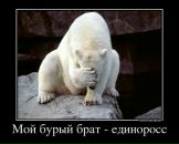 Фотография Дземидовича Ильи