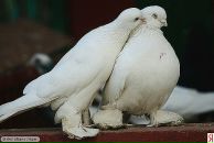 Фотография Костяновой Ольги