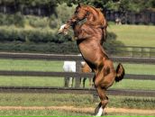 Фотография Черепанова Александра